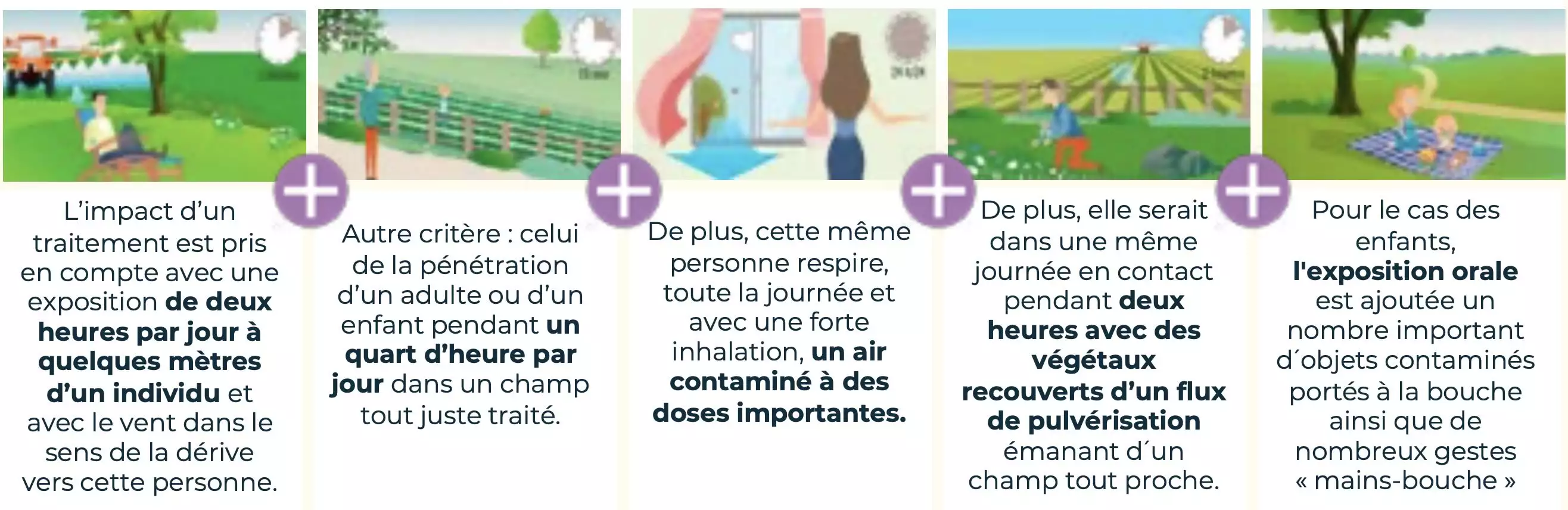 Analyse de la somme des expositions aux pesticides tout au long de la vie (Source : Phyteis)