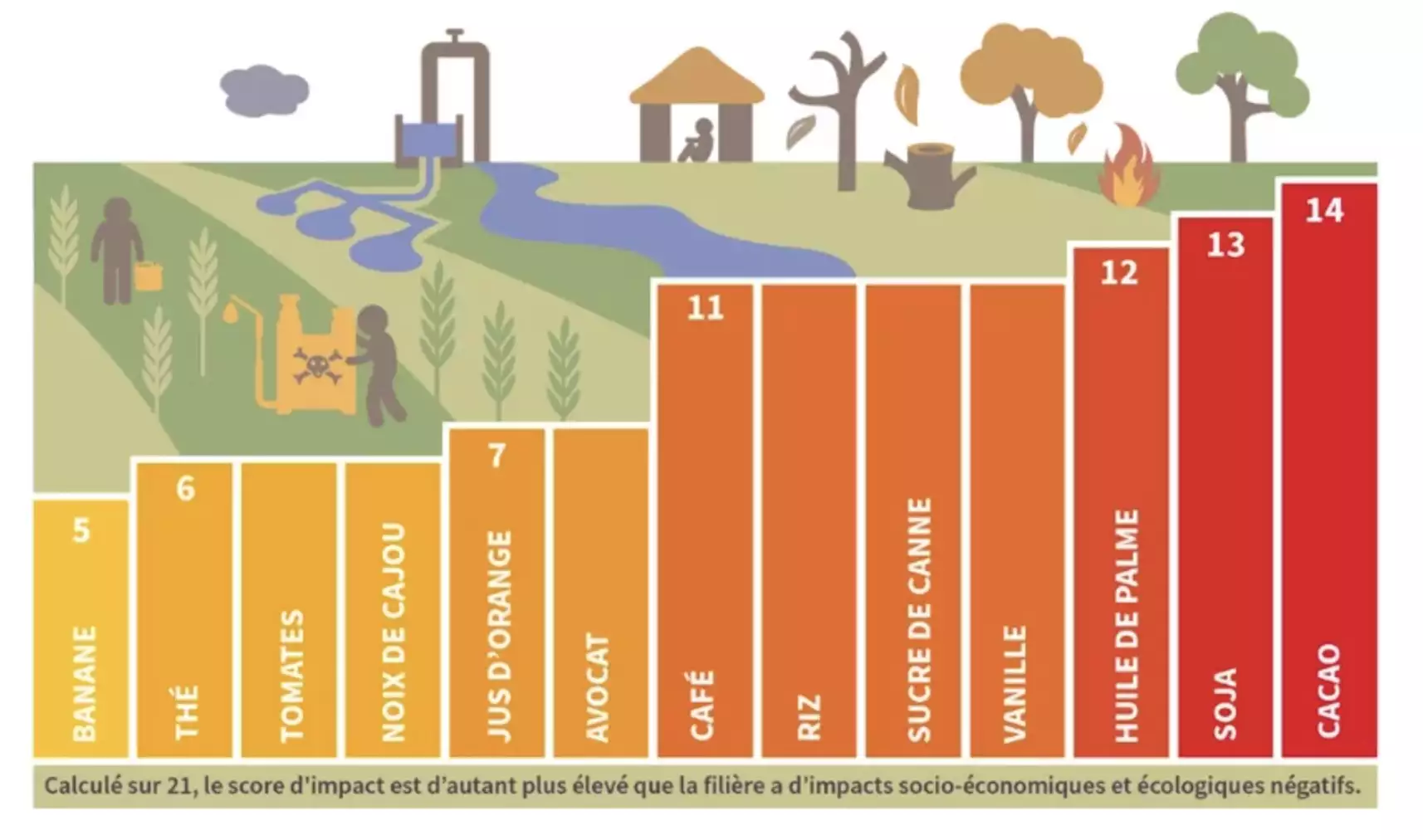 Score, sur une échelle de 0 à 21, de 13 produits importés passés au crible d’une « boussole de durabilité » agrégeant indicateurs socioéconomiques et écologiques (Source : Basic)