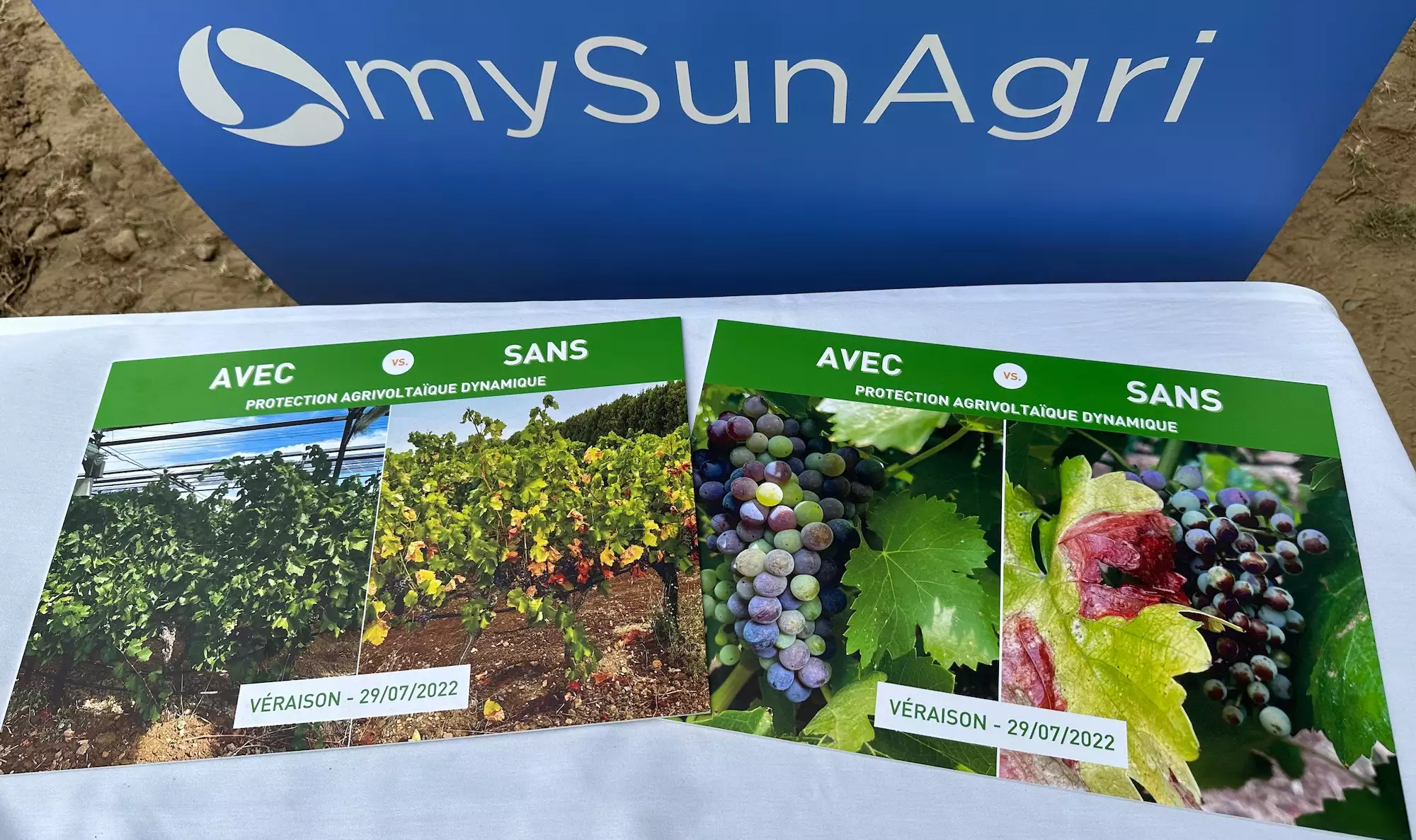 Chaque projet de Sun’Agri est adossé à une parcelle témoin