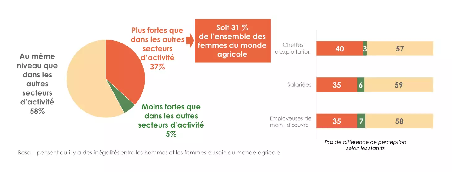 31% des femmes du monde agricole estiment que les inégalités hommes-femmes sont plus fortes en agriculture que dans les autres secteurs (Source : Verian - MSA)