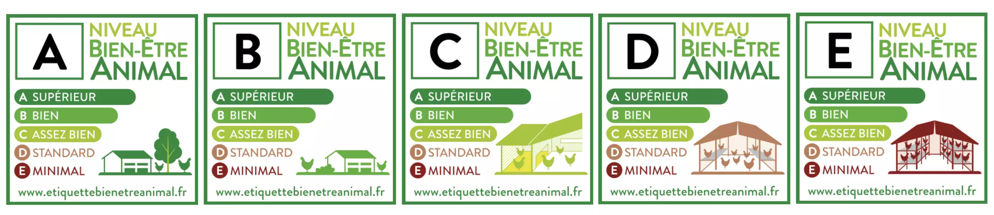 Les élevages avec accès au plein air pourront prétendre aux notes A et B. Les systèmes au sol avec véranda, reconnus comme améliorant significativement le bien-être des pondeuses, pourront obtenir la note C (Source : Association Étiquette Bien-Être Animal)