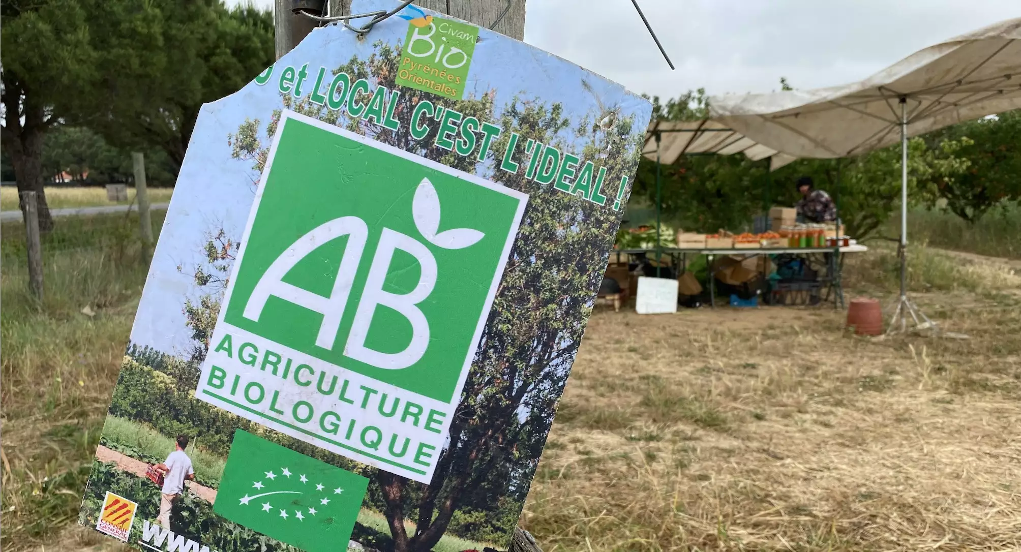 Mettre le sort de la bio entre les mains du marché, sans rémunérer ses aménités environnementales, c’est en demander un peu trop à la bio (Crédit photo : R. Lecocq)