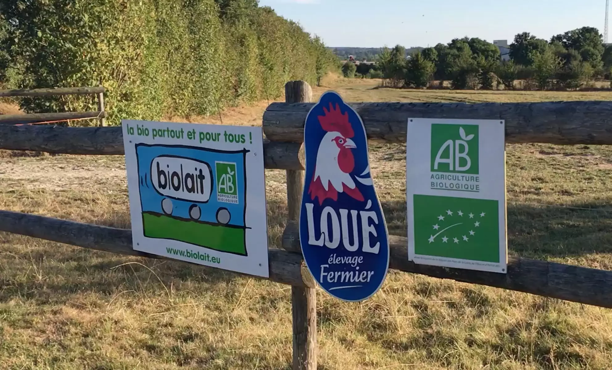 La Fnab attend enfin l’ouverture d’un programme opérationnel pour le lait bio dès 2025 (Crédit photo : R. Lecocq)