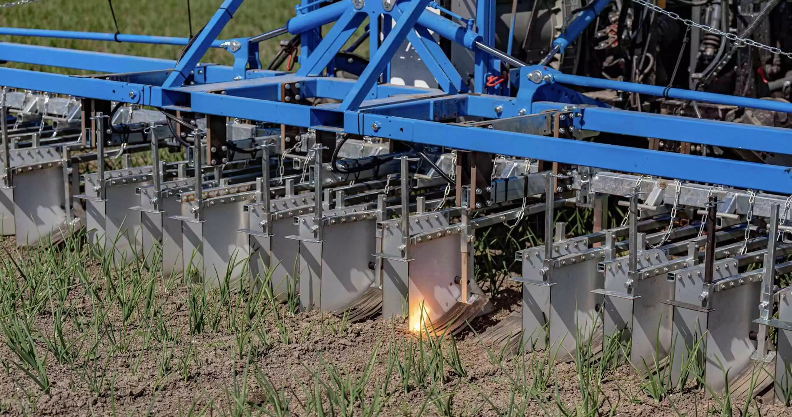 La génératrice de 180 kW envoie un courant de plusieurs milliers de volts détruisant les tissus de la plante de manière irréversible jusqu’au bout des racines