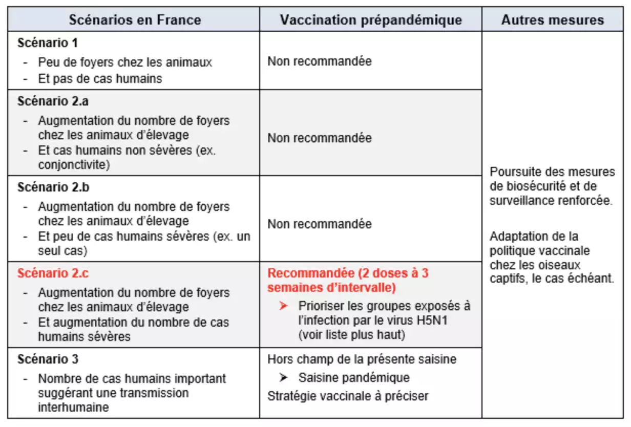 Les scénarios d’une vaccination prépandémique contre la grippe aviaire H5N1 (Source : Haute autorité de santé)