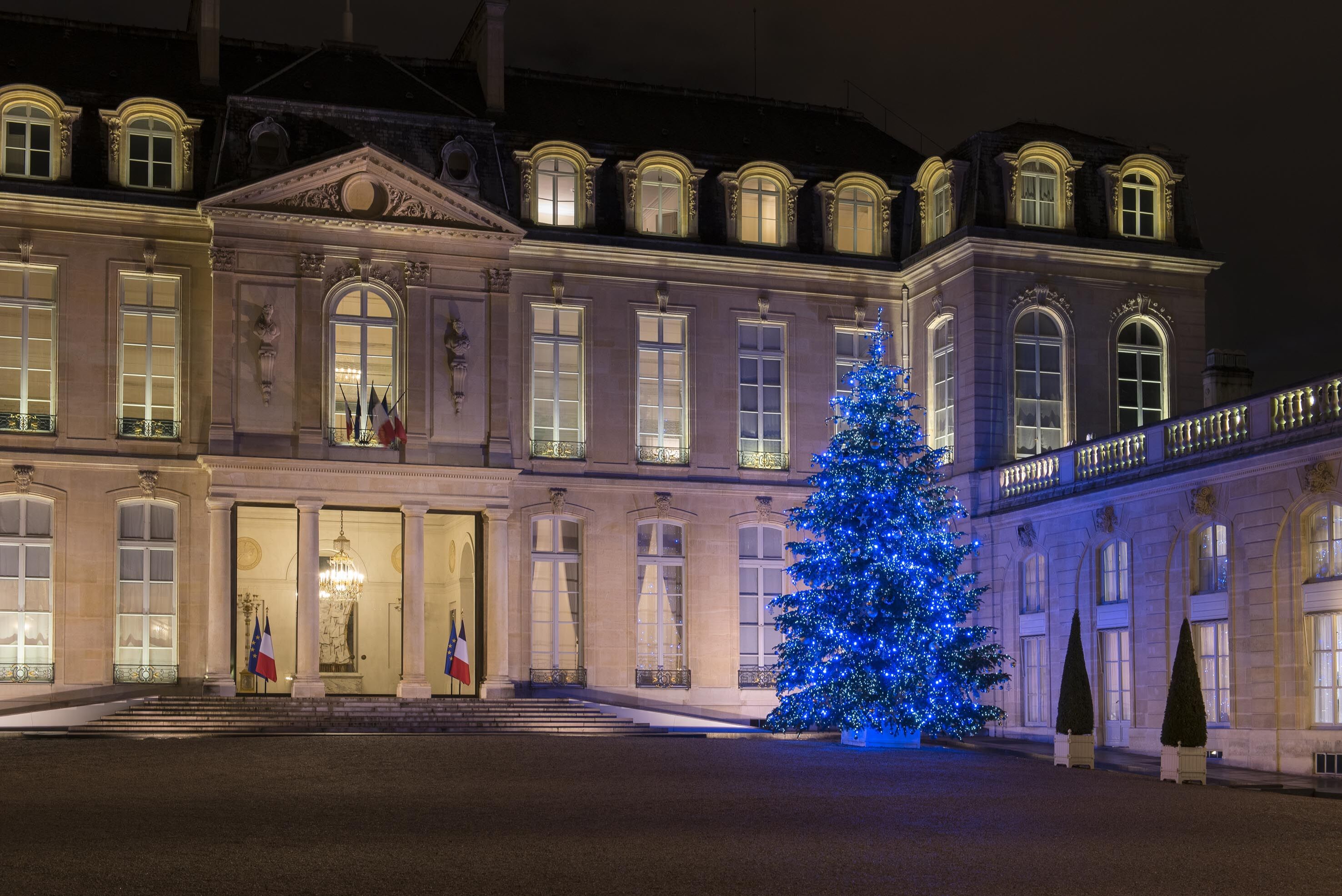 Depuis 14 ans, un sapin du Morvan trône dans la cour de l’Elysée à Noël (Crédit photo : Valhor)