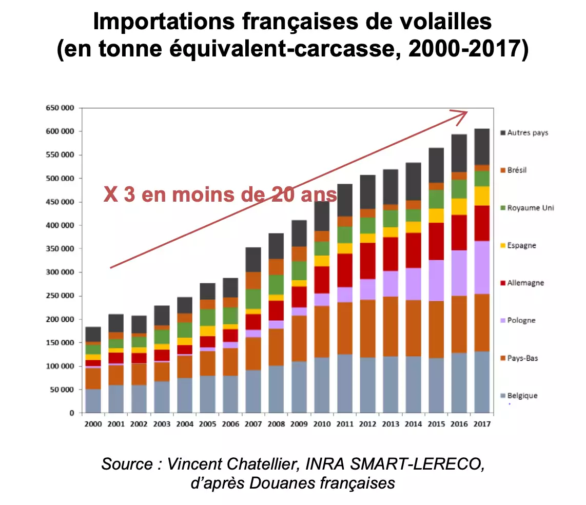 Les importations de volaille représentent 34 % de la consommation intérieure en 2017 contre 13 % en 2000