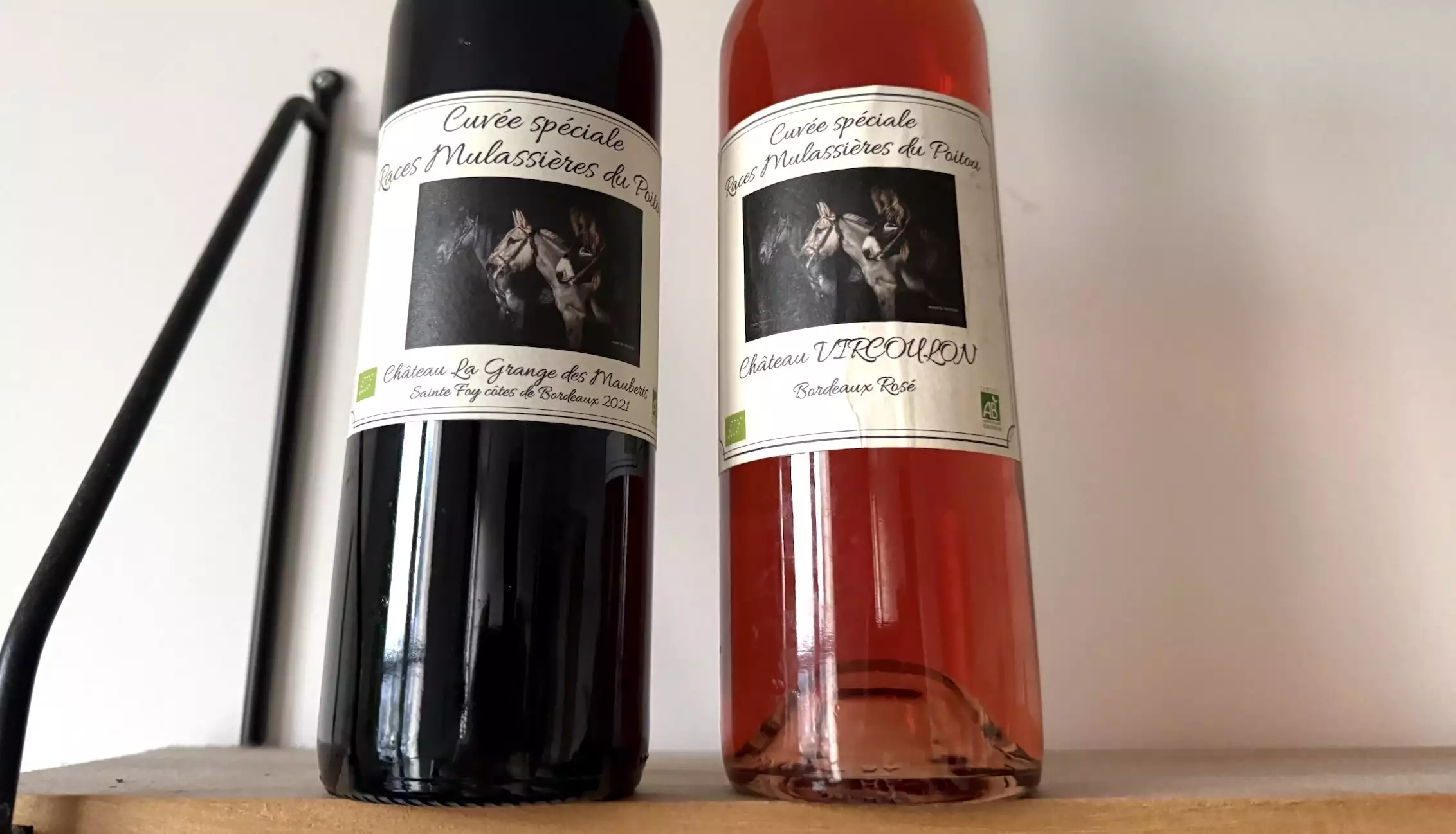 En Gironde, la Ferme des Mauberts recourt aux races mulassières du Poitou pour entretenir son vignoble