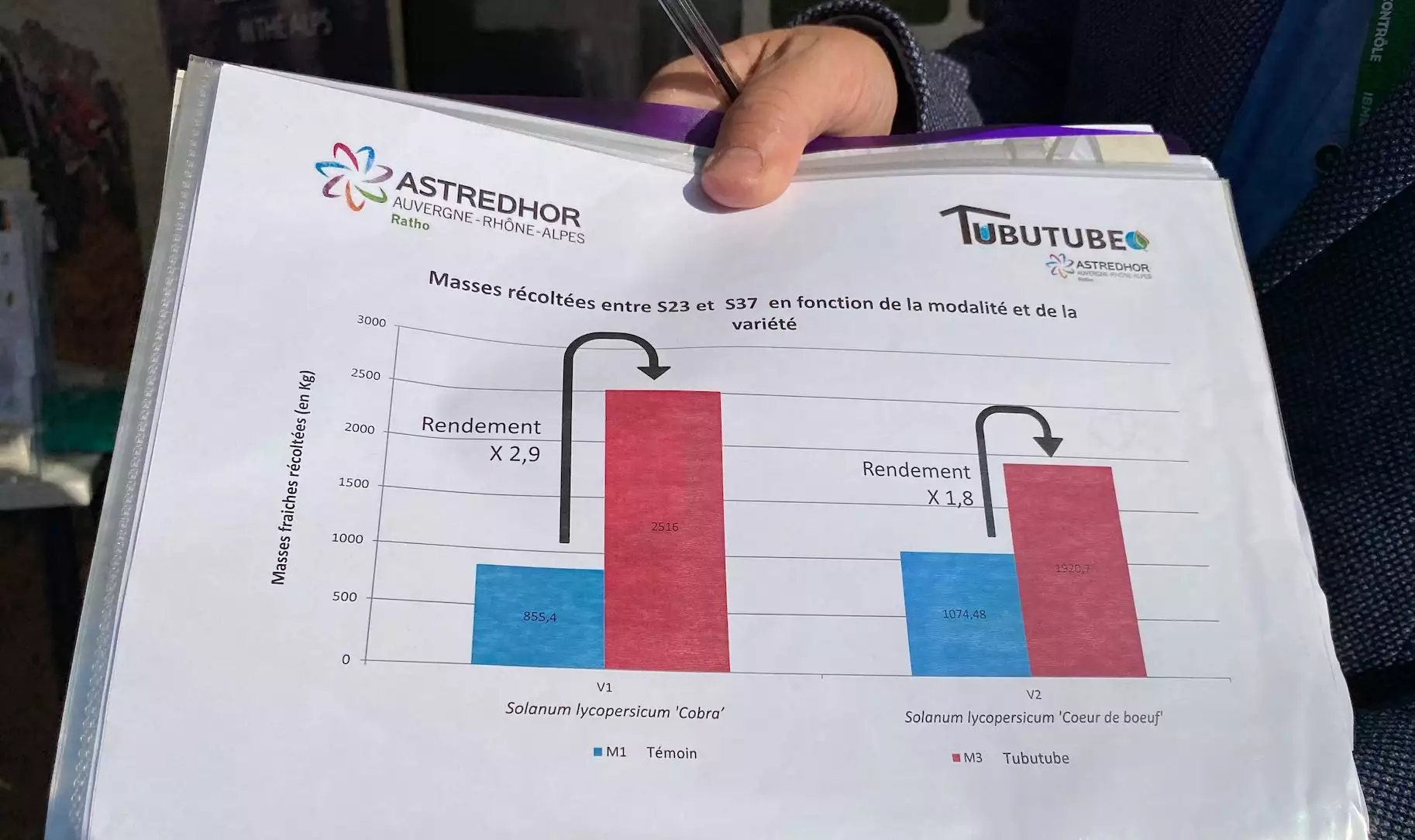 Les r&eacute;sultats enregistr&eacute;s sur tomate chez un maraicher de la Loire en 2021