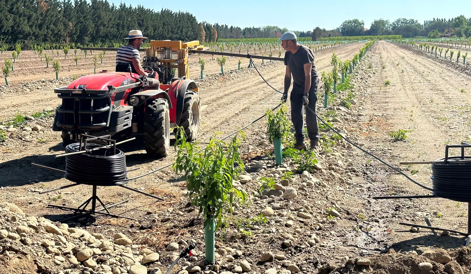L’aide est limitée à 40 hectares par exploitation et à 30 hectares par espèce (Crédit photo : R. Lecocq)