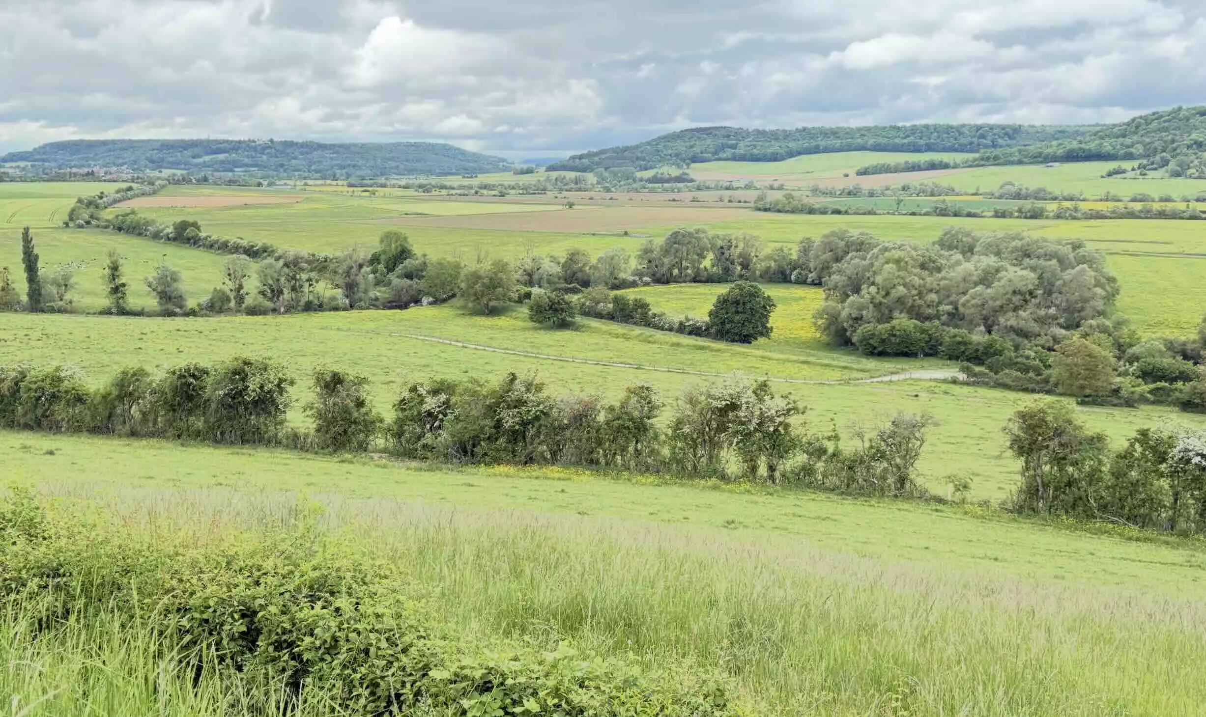 Bruxelles crédite sa proposition d’une économie de 1,58 milliard par an au bénéfice des agriculteurs et de 210 millions d’euros au bénéfice des administrations nationales (Crédit photo : R. Lecocq)