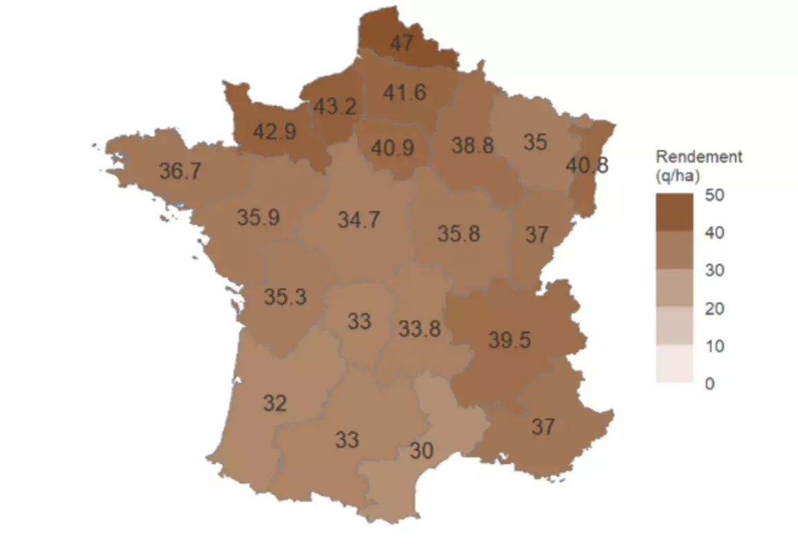 Rendements du colza estimés au 8 août (Source : Terres Inovia et acteurs locaux)