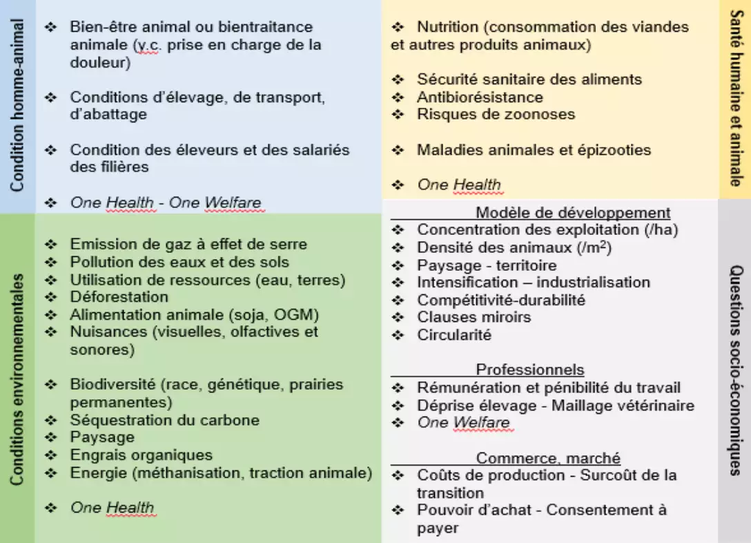 Les quatre registres de la controverse et leurs sous-registres (Source : CGAAER)