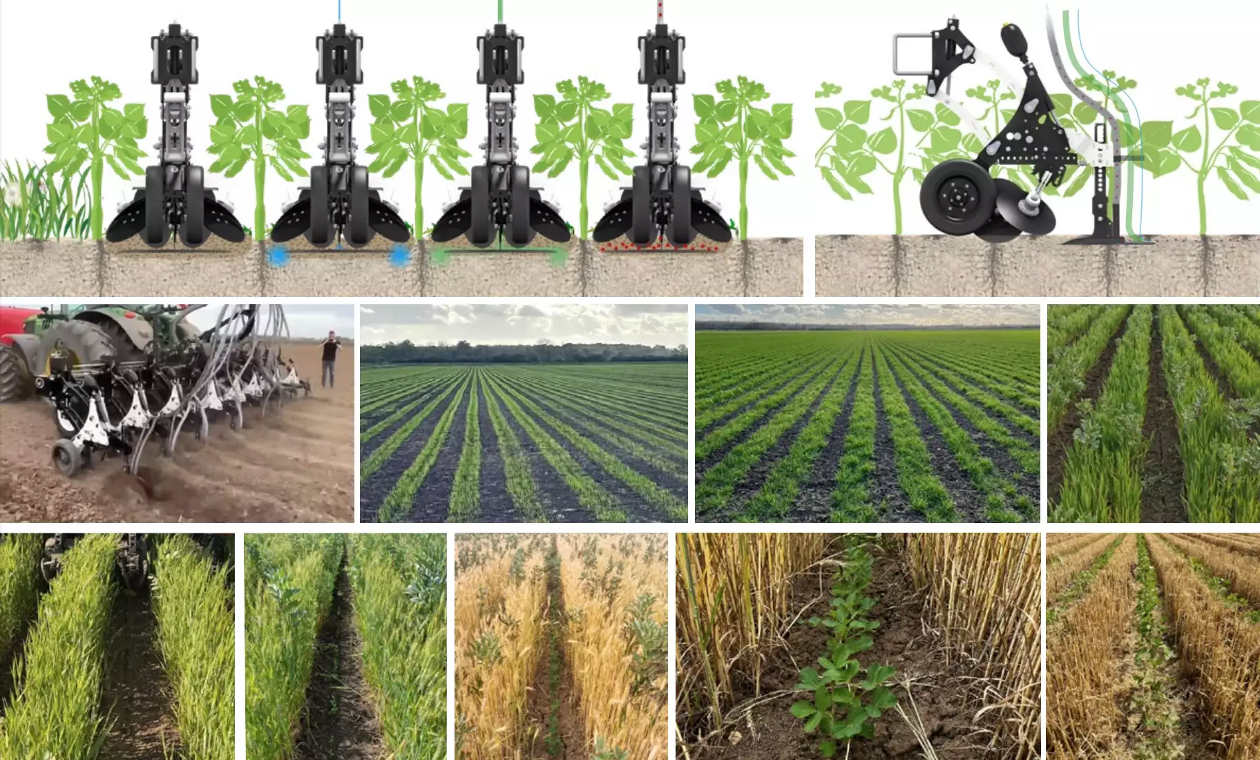 Équipé d’une mono-lame spécifique à deux entrées, il peut semer et fertiliser en bandes ou semer deux espèces en même temps