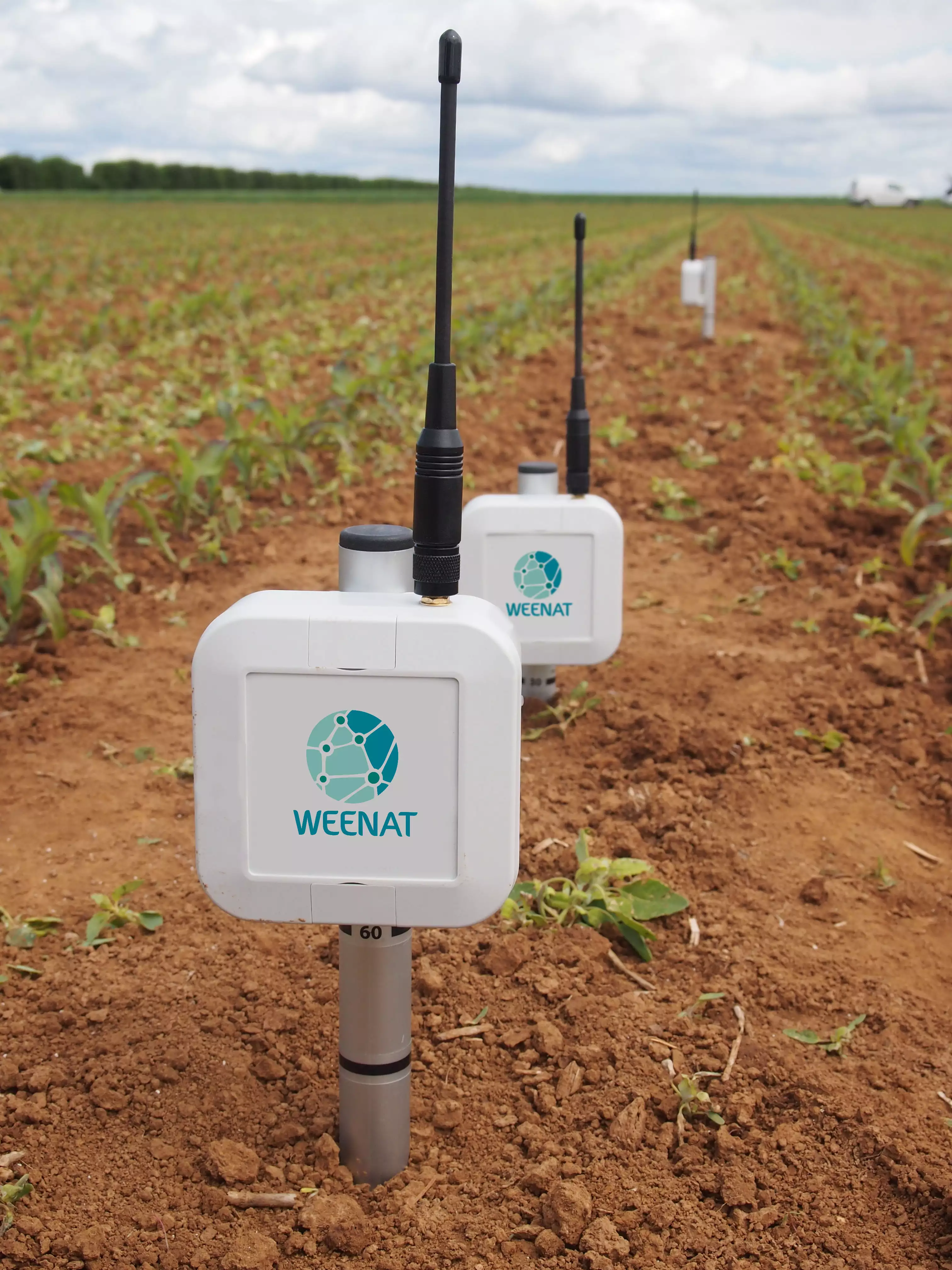 Les tensiomètres permettent d’optimiser le pilotage de l’irrigation (Crédit photo : Weenat)