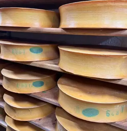 Les fromages Beaufort en cave d'affinage à la coopérative des Aves (Savoie). ©Louise Delaroa