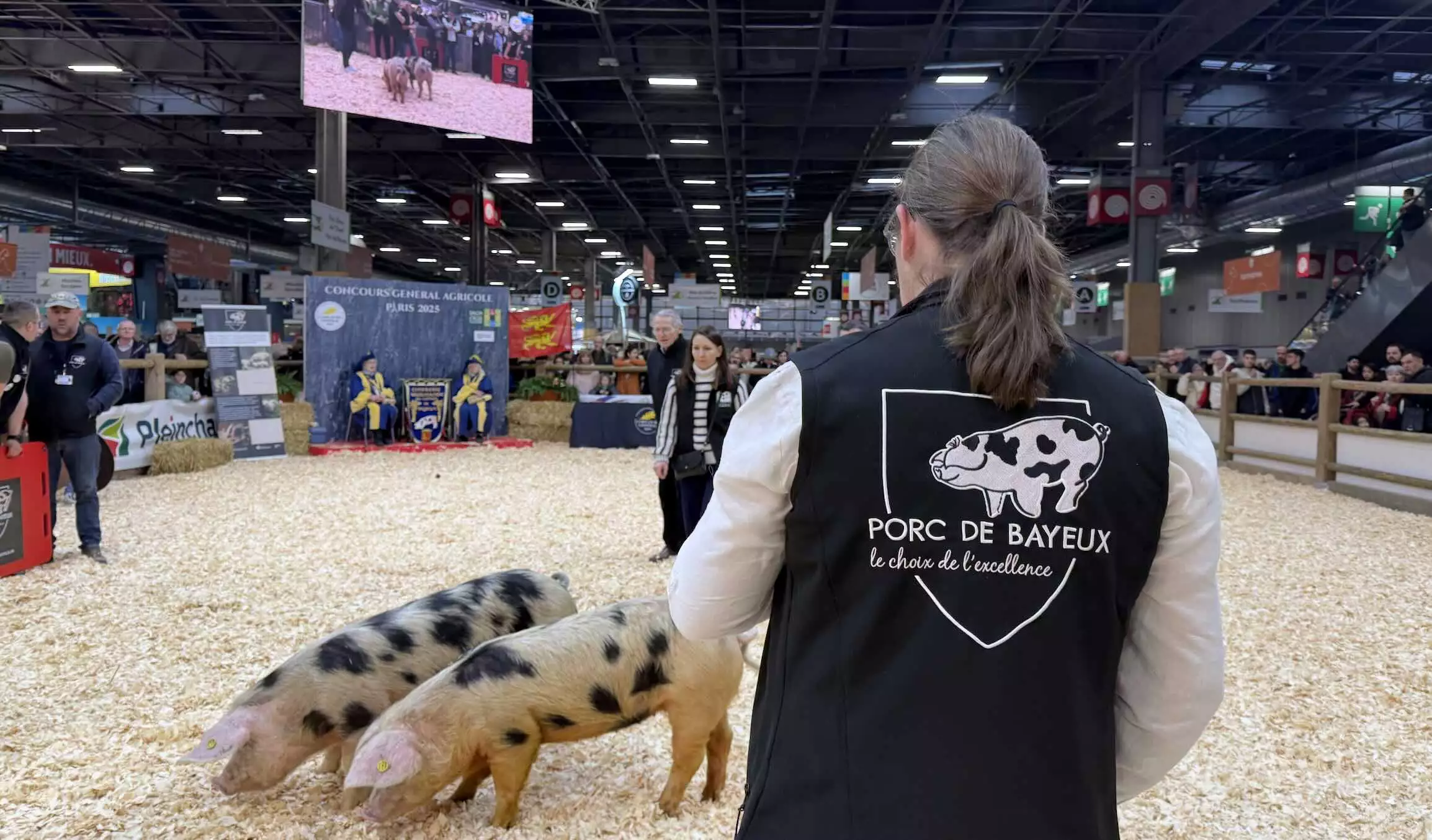 Les cochons sont dans le pré, la ferme d’Isabelle et de Jérôme Lepoivre, a remporté trois médailles au Concours général