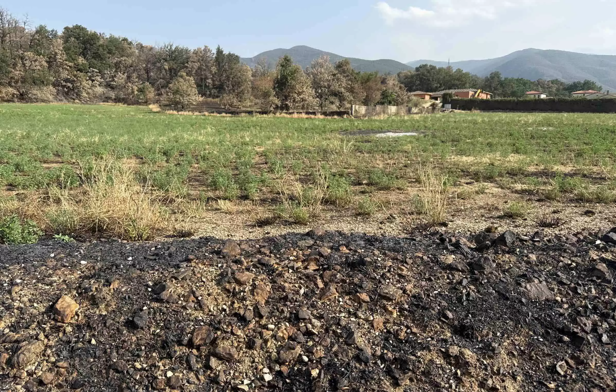 L’agriculture, un pare-feu qui se réduit à peau de chagrin dans un département aux avant-postes du changement climatique © R. Lecocq