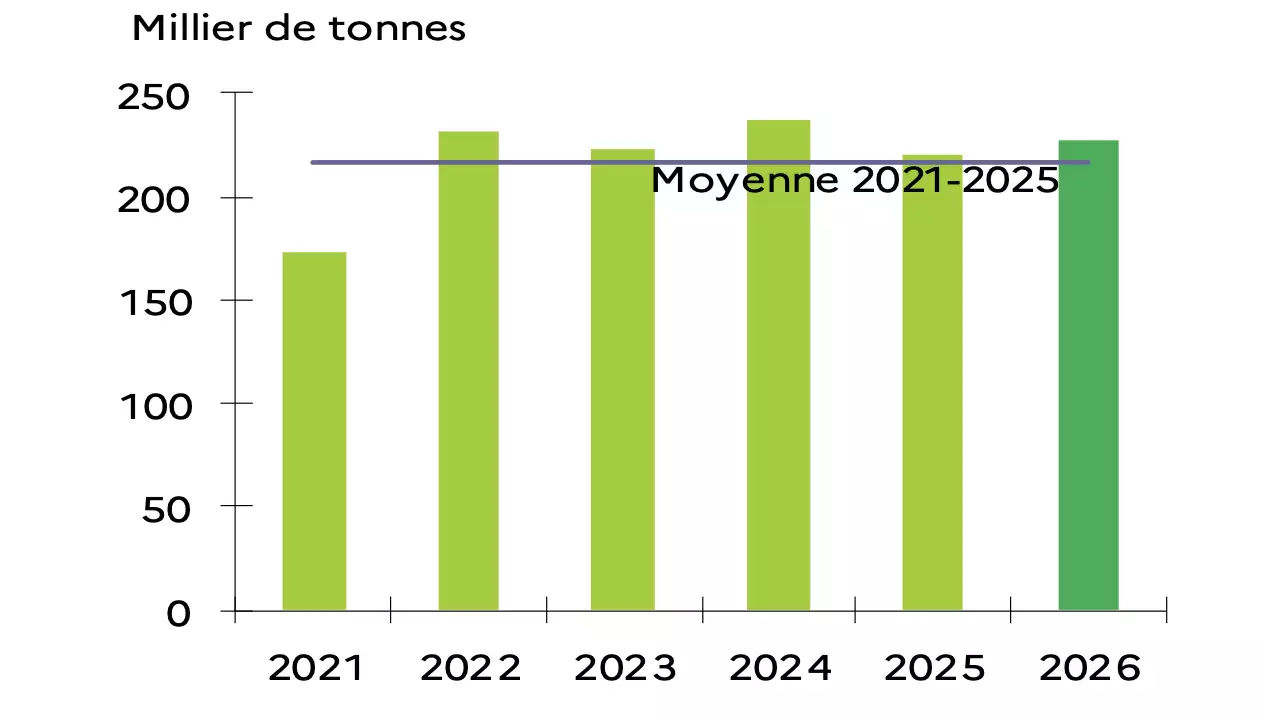Evolution de la production de p&ecirc;ches et nectarines entre 2021 et 2026 (Source&nbsp;: Agreste)