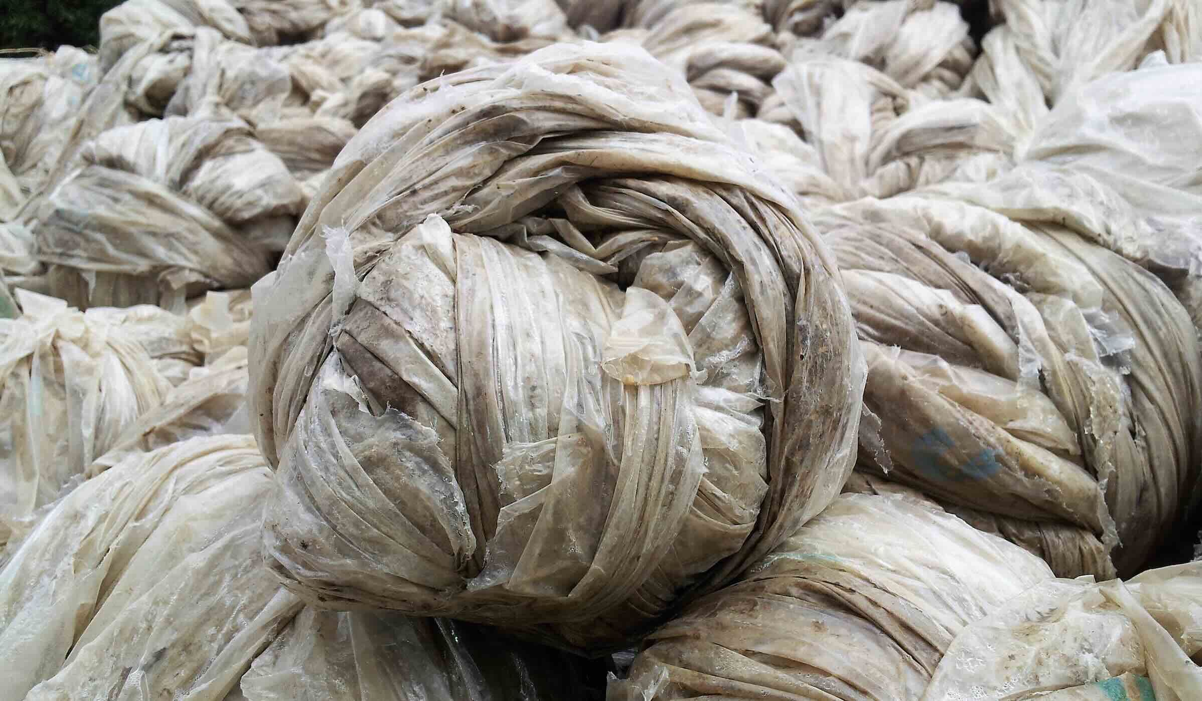 Film de paillage plastique en boule © Adivalor