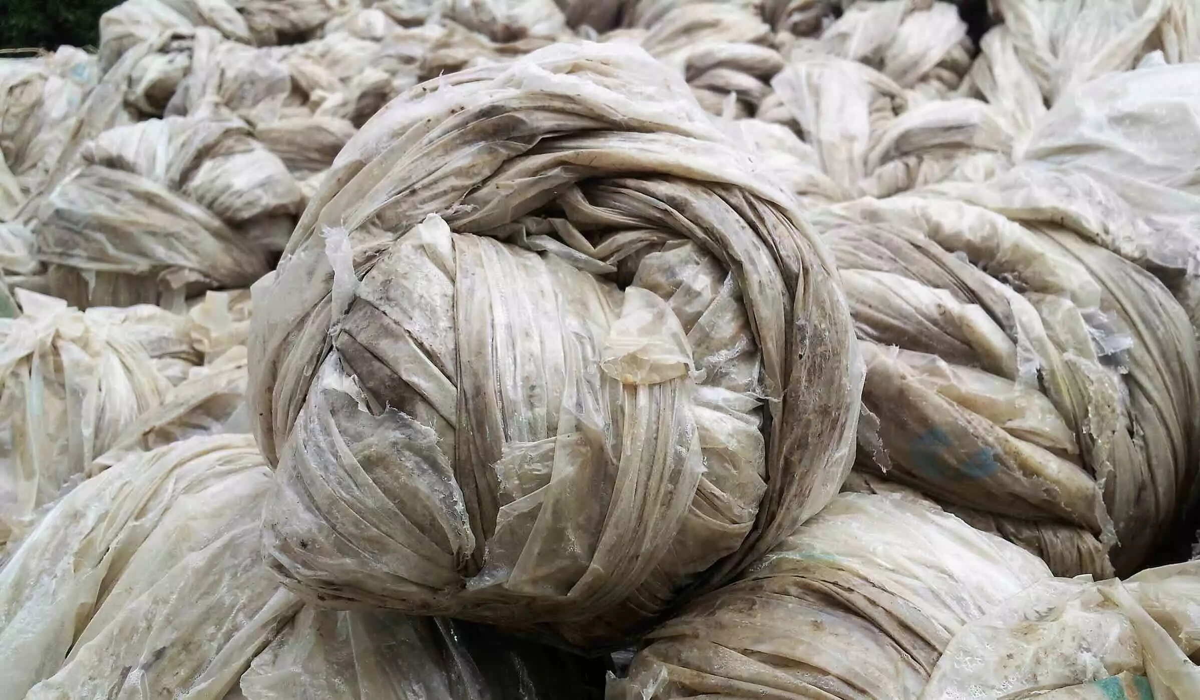 Film de paillage plastique en boule © Adivalor
