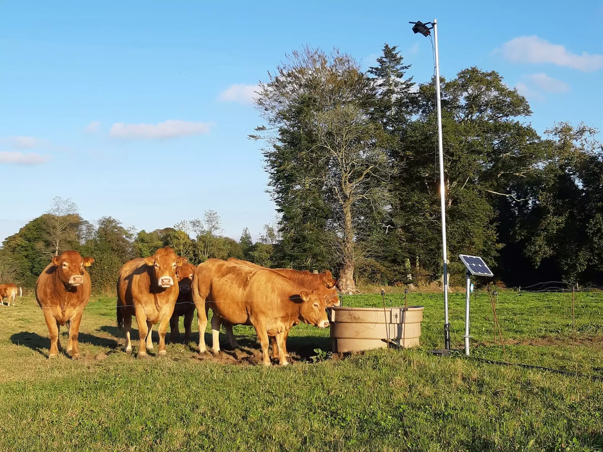 Autonome en énergie, Peek’Ture capte non seulement des photos et vidéos d’animaux mais délivre aussi à distance des indicateurs relatifs aux conditions de vie des animaux (Crédit photo : Copeek’s)