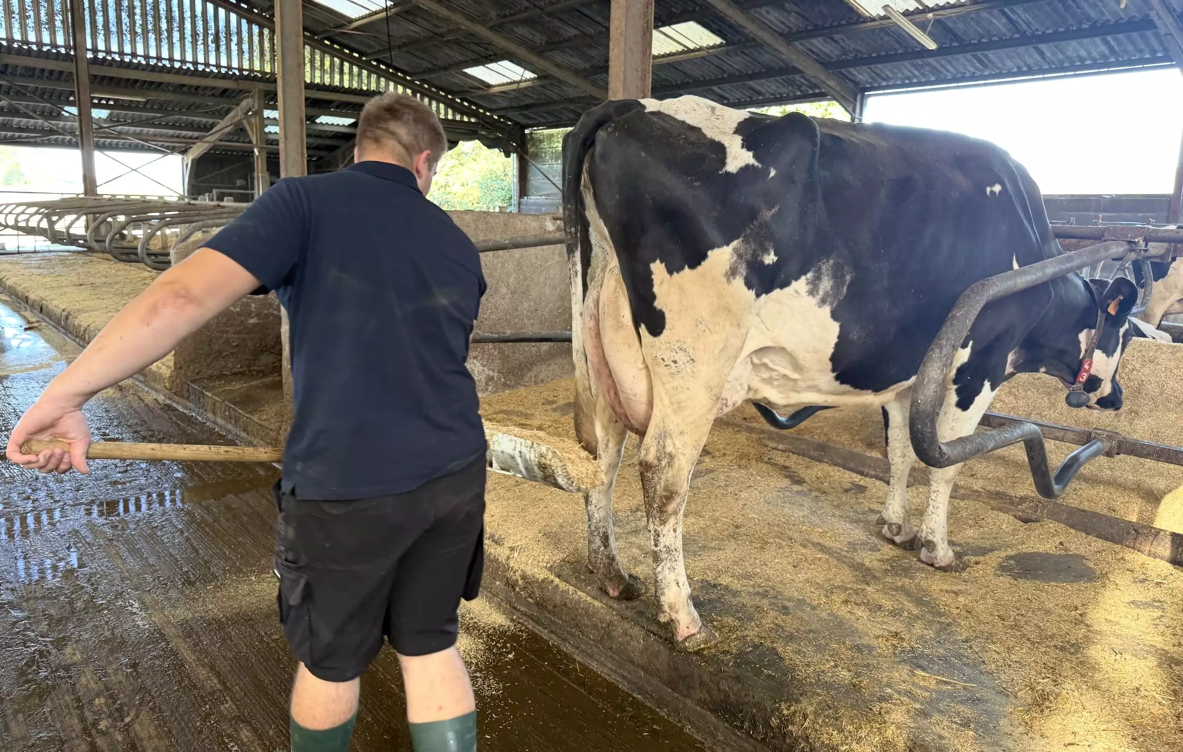 Selon Mathis, dans l’enseignement agricole, enfants de paysans ou pas, 8 élèves sur 10 ne sont pas intéressés par l’élevage © R. Lecocq