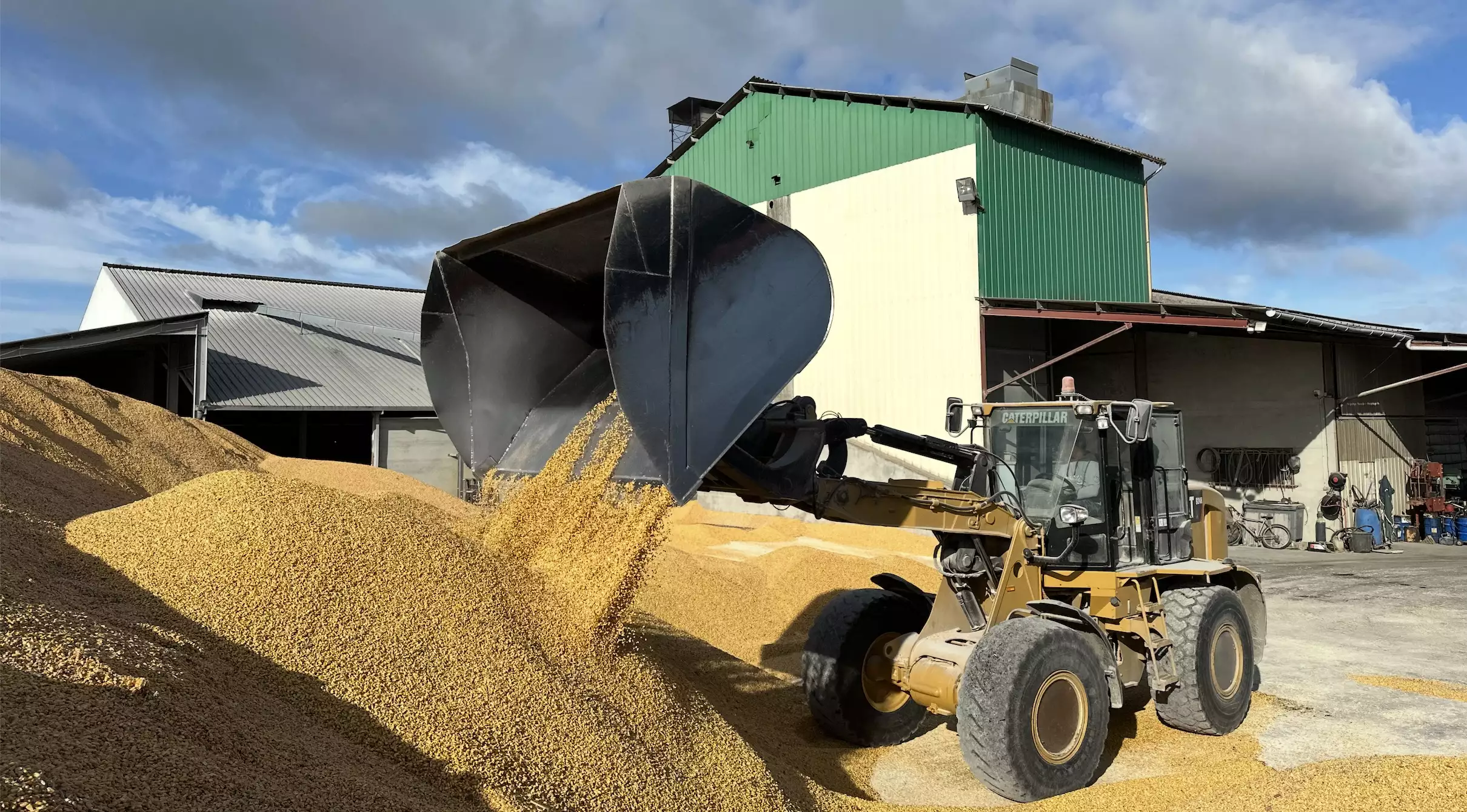 La production de maïs grain (hors semences) est estimée à 12,4Mt, en hausse de 13,3% sur un an sous l’effet de la hausse des surfaces (1,53Mha, +24,9%), le rendement moyen chutant de 9,3% à 93,4q/ha (Crédit photo : R. Lecocq)