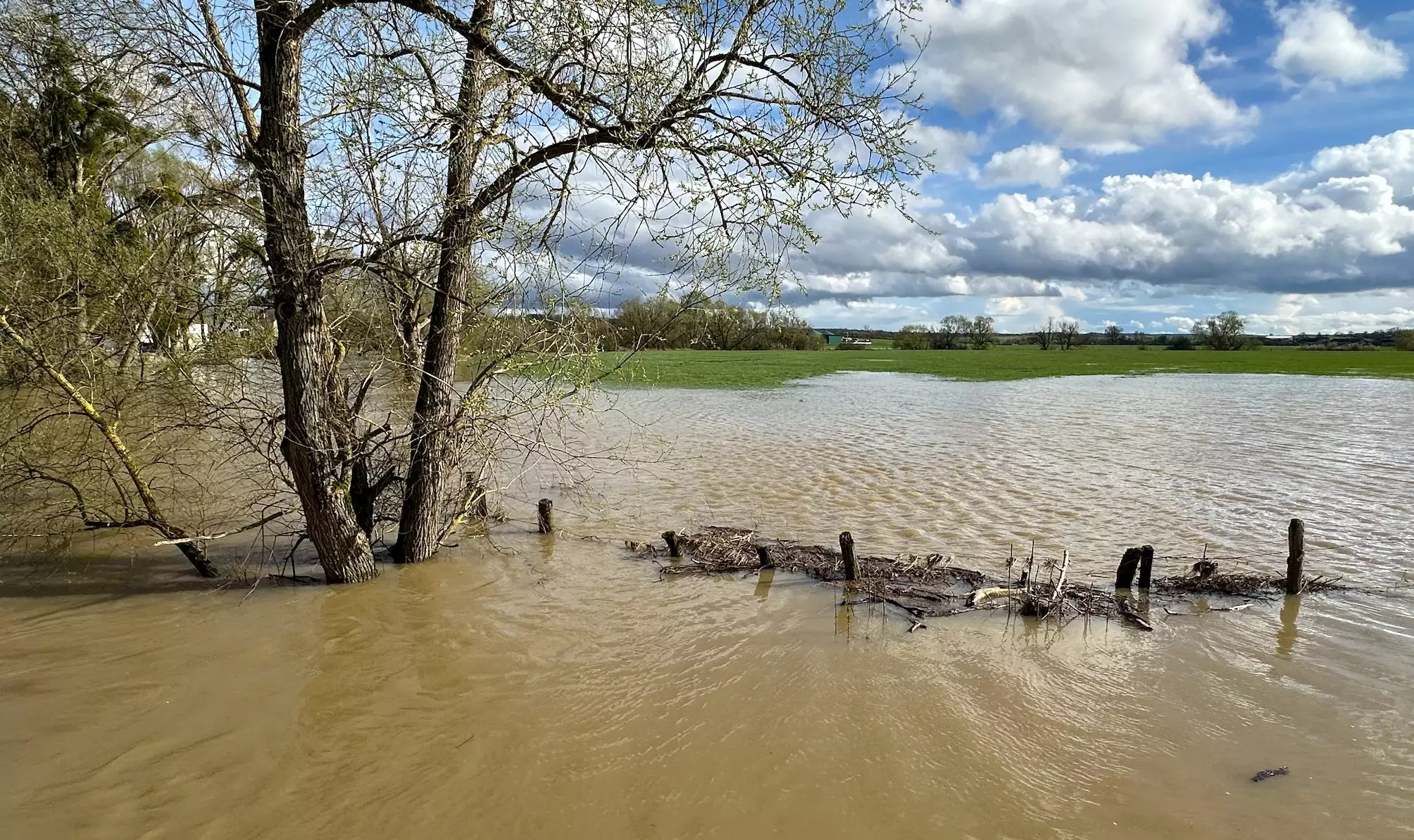 Les prairies inondables... et inondées. A l’arrière-plan, le méthaniseur de la Sarl G3 Environnement