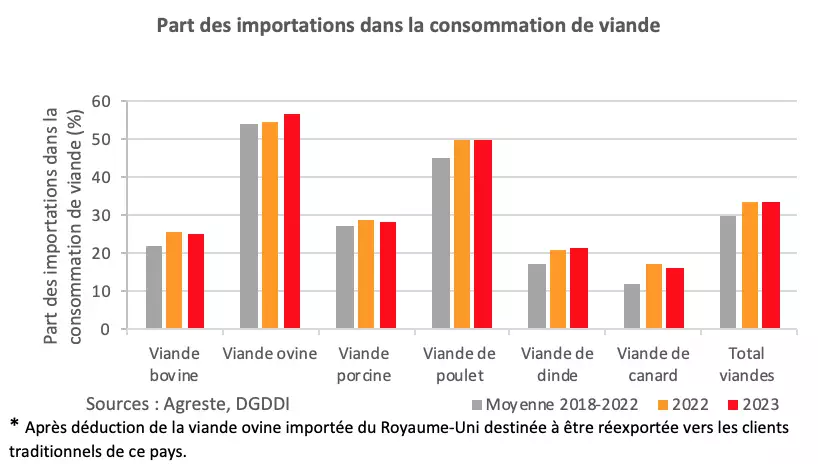 Evolution de la part des importations dans la consommation de viande (Source : Agreste : DGDDI)