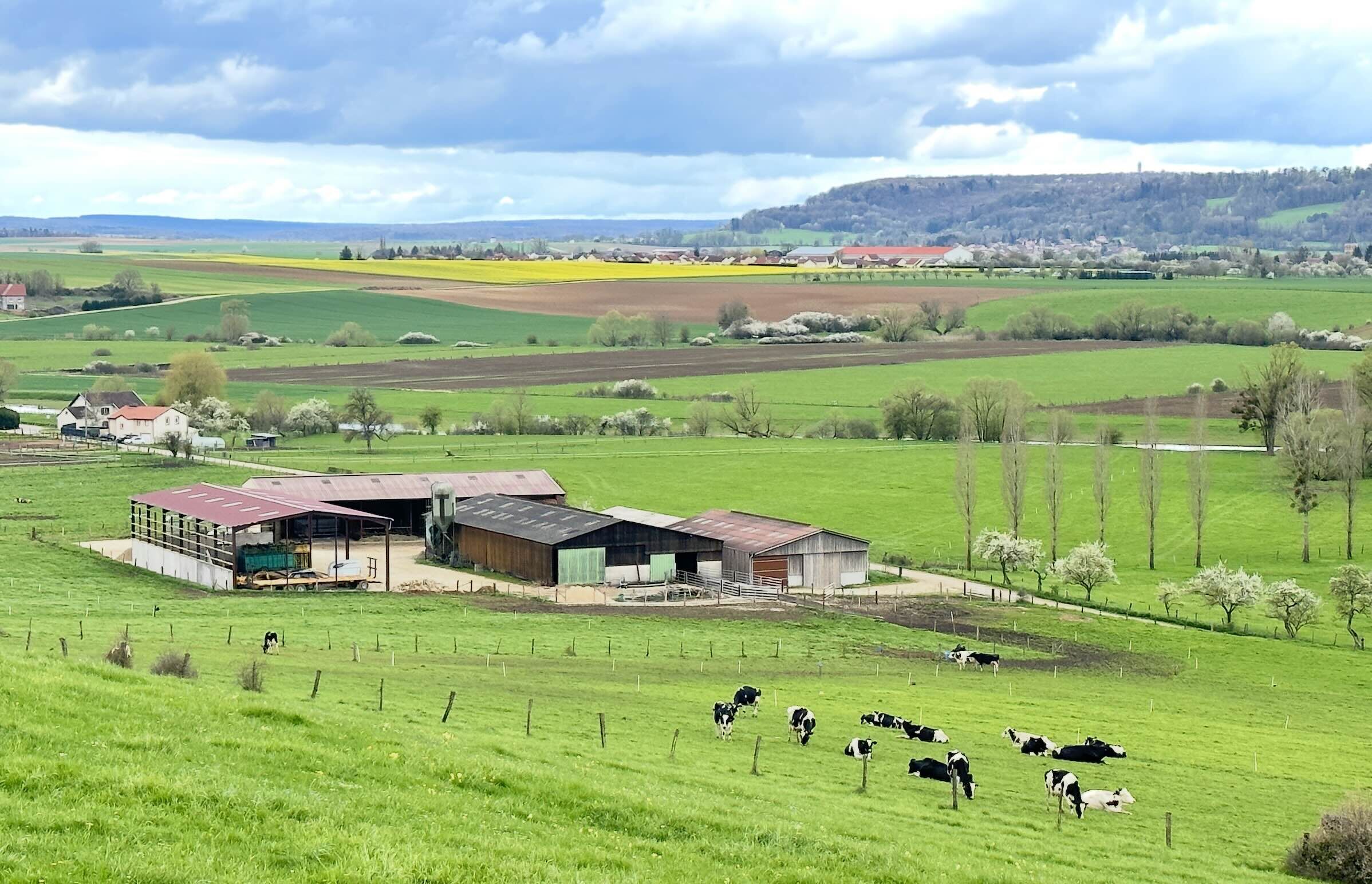 « La préservation d’exploitations plus petites et diversifiées conduit à des frais fixes surdimensionnés et amène les exploitants à devoir maximiser le profit de leurs ateliers, ce qui les rend plus sensibles à tout aléa » (Crédit photo : R. Lecocq)