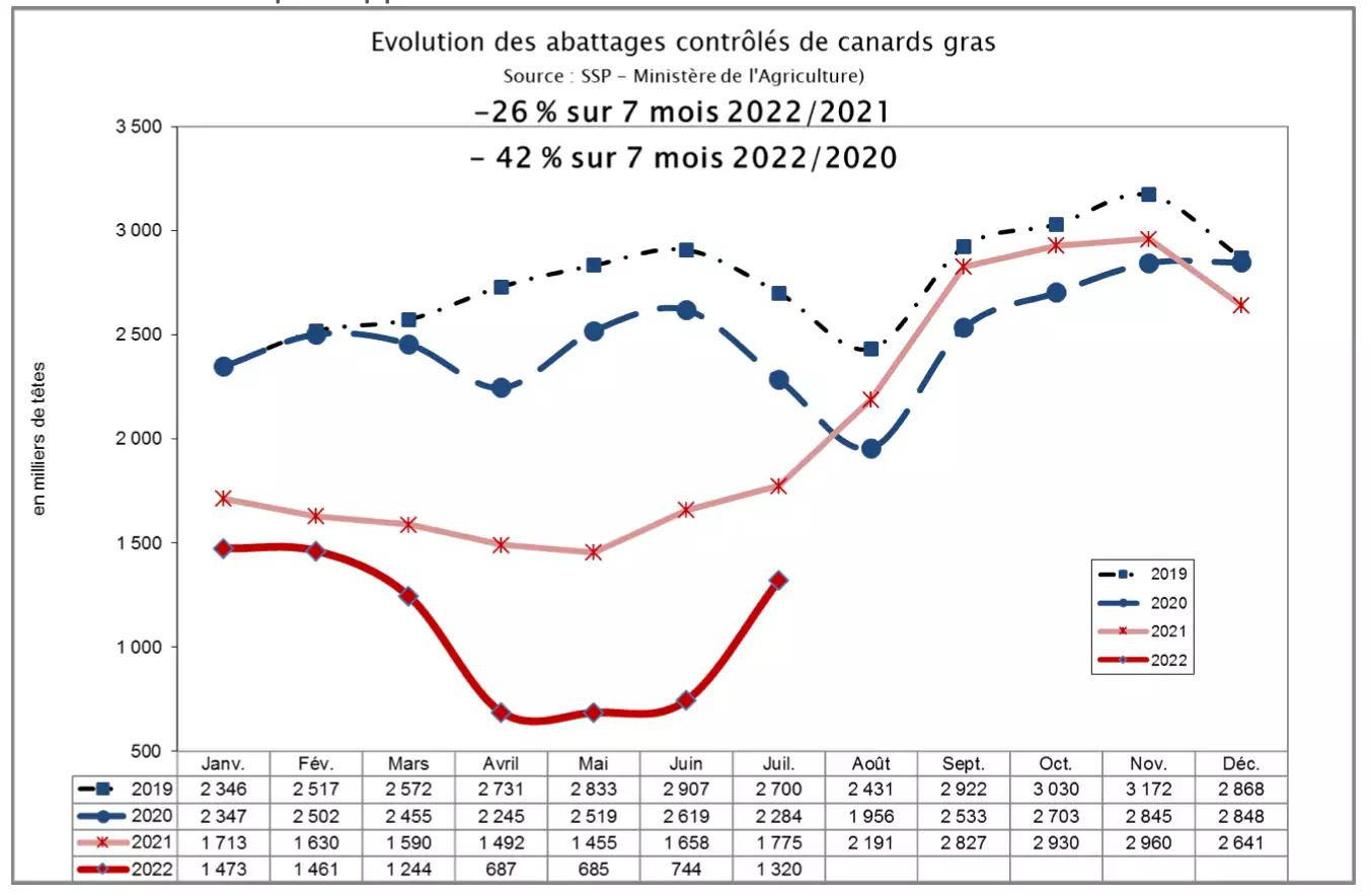 Evolution des abattages contrôlés de canards gras (Source Cifog)