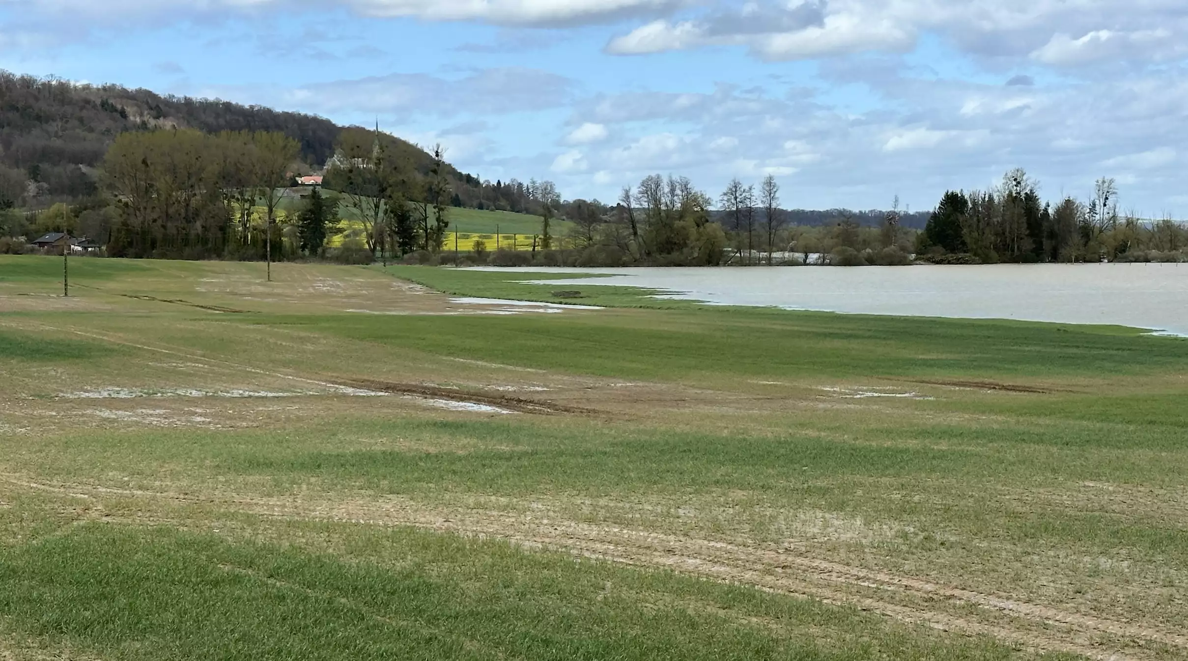 Dans les Vosges, des parcelles inondées par la Meuse en avril dernier (Crédit photo : R. Lecocq)