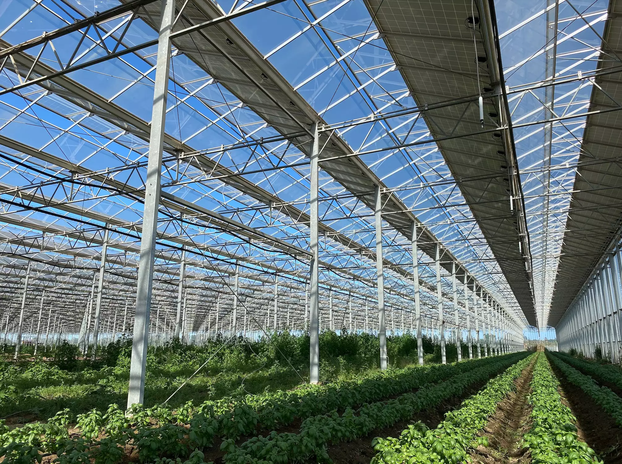 La définition de l’agrivoltaïsme par l’Ademe va inscrire dans le marbre la primauté de la production agricole sur celle d’énergie électrique