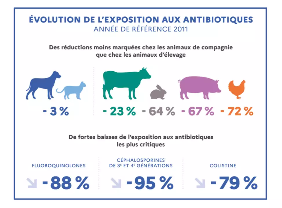 Evolution de l’exposition des animaux domestiques et d’élevage entre 2011 et 2022 (Source : Anses)