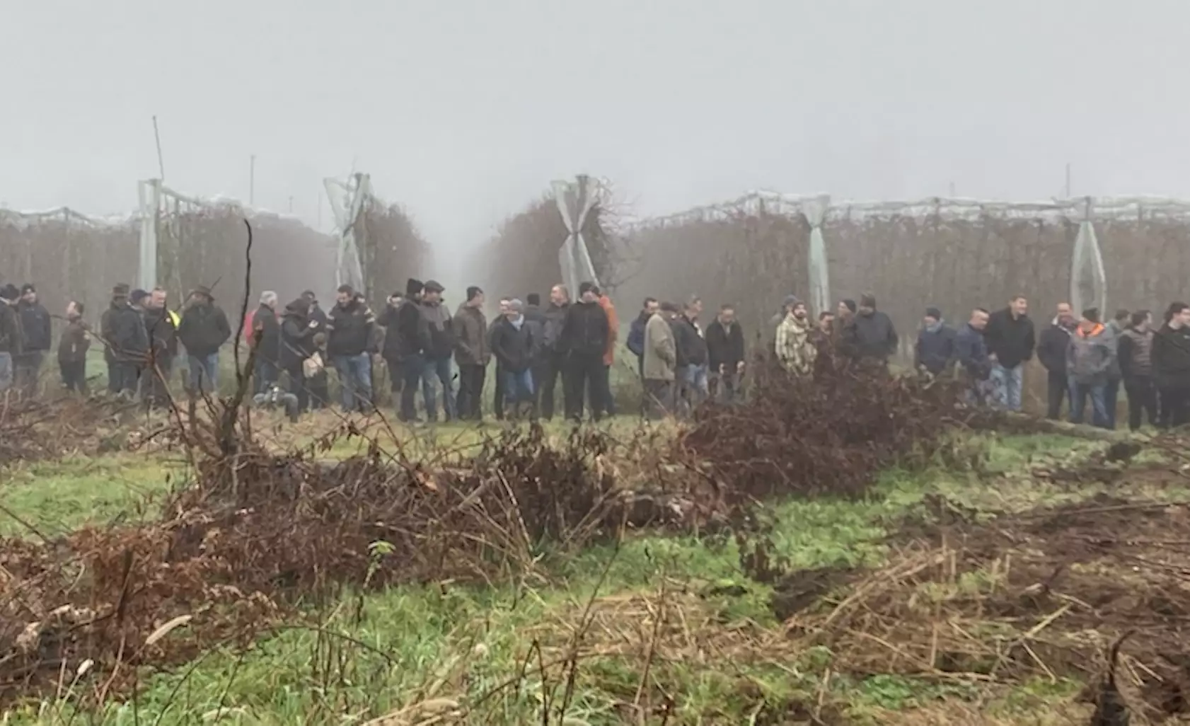 A l’appel de l’ANPP et de la FNPF, les producteurs de pommes ont mené des actions coup de poing dans cinq départements de cinq régions distinctes (Crédit photo : FDSEA 82)