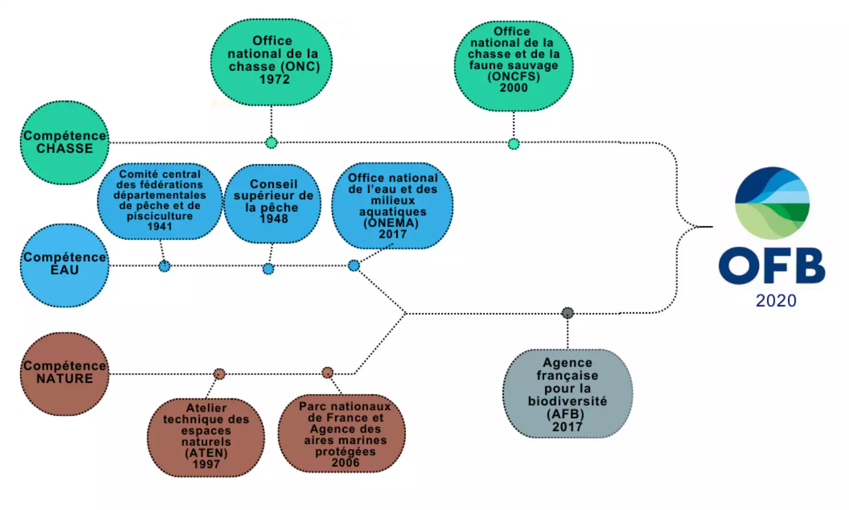 Les origines de l’OFB, institué par la loi du 24 juillet 2019 (Source : mission sénatoriale)