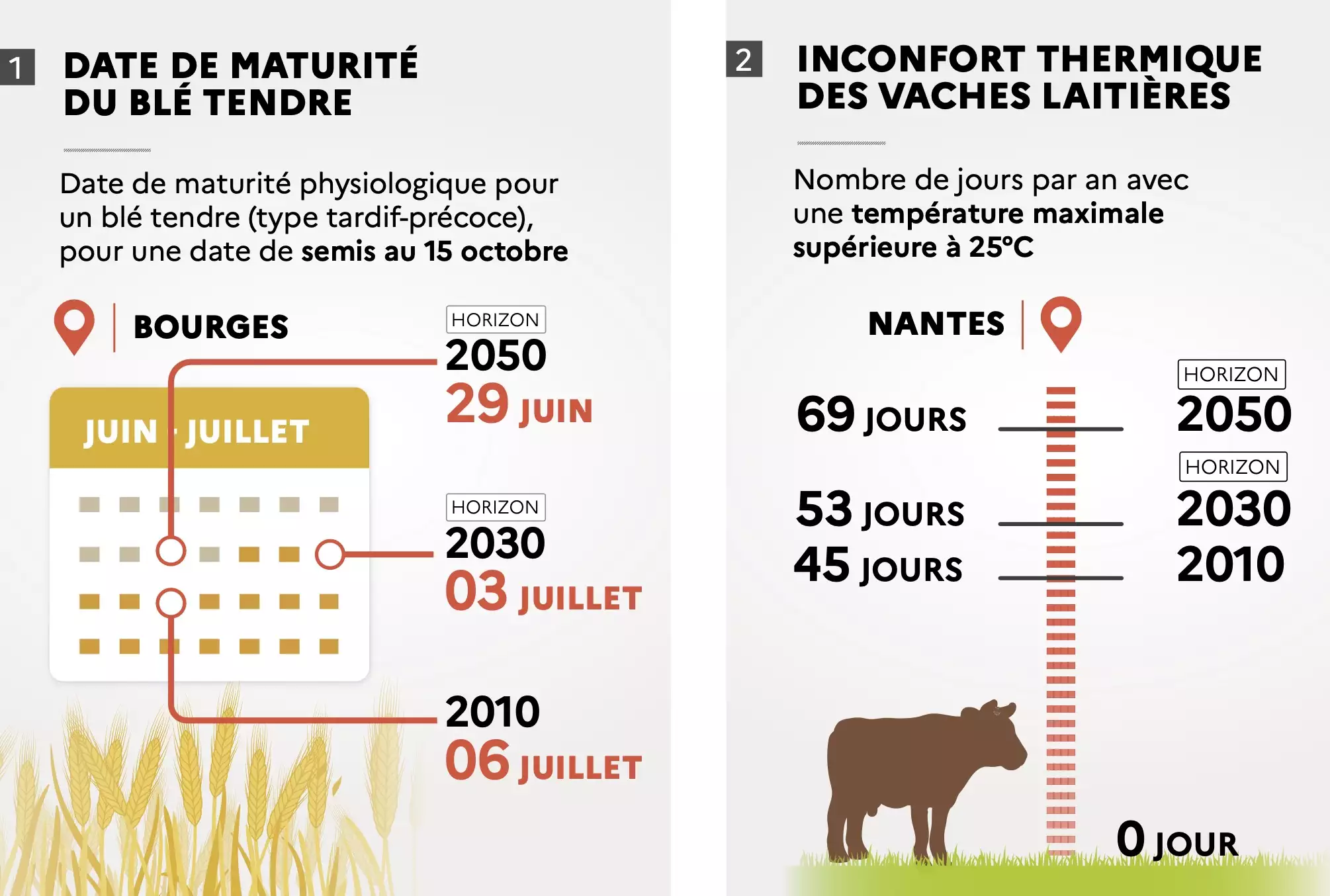 Illustration de l’impact du changement climatique sur la date de maturité du blé tendre et sur l’inconfort thermique des vaches laitières (Source : Météo-France – Solagro)