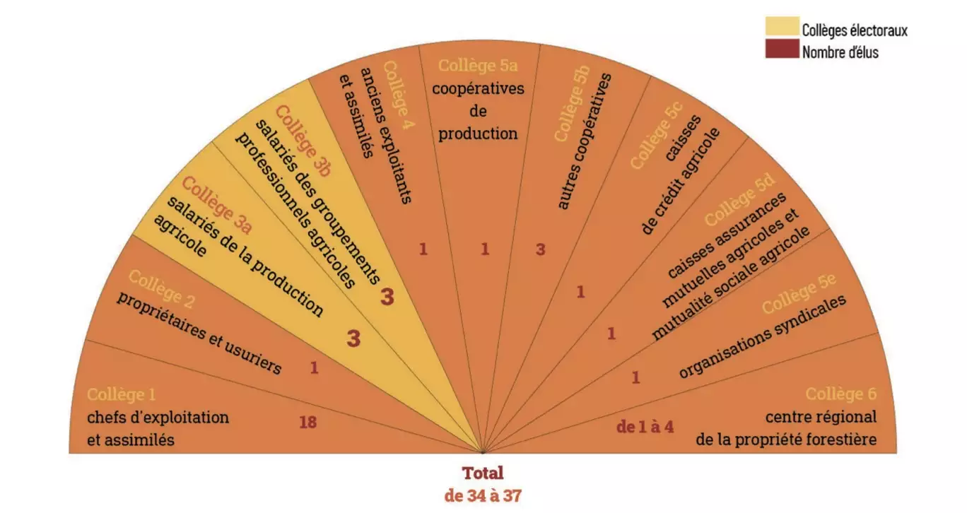 Répartition des différents collèges électoraux composant la session d’une Chambre d’agriculture départemental et territoriale (Source : Chambres d’agriculture France)