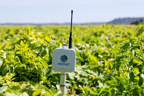 Tensiom&egrave;tre - pilotage de l'irrigation