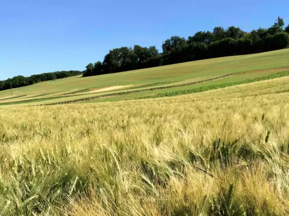Dephy Fiches Fermes Dephy (1/12) : L’accompagnement dans le réseau Dephy ...